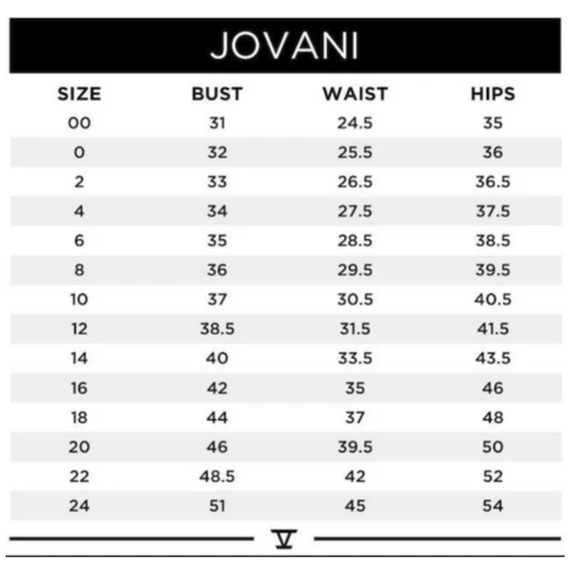 Jovani Red Lace Evening Gown - Picture 15 of 16